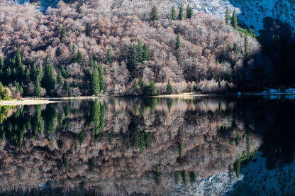 Trnovačko Jezero Trnovačko jezero na planini Maglić.