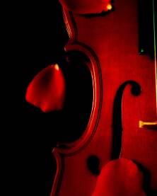 IMG_20180816_215917_934-01.jpeg Violina sa laticama ruze na crnoj pozadini