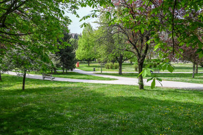 Park Kemal Monteno, Sarajevo Zelena trava i drveće u proljeće. Park Kemal Monteno u gradu Sarajevu. Zeleno rastinje.