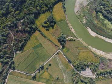 Obala rijeke Bosne Obala rijeke Bosne kod Šamca, boje ljeta