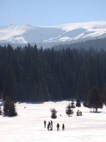 Planina Igman Planina Igman zimi