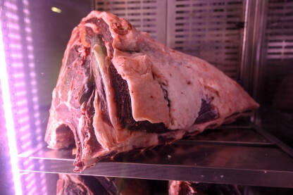 Dry aging meso Goveđe meso koje odležava u frižideru restoranu. Odležani biftek.