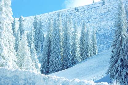 Sunčani dan na Jahorini Jahorina na savršen zimski dan