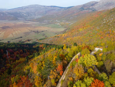 Snimak dronom na jesenju šumu sa živim bojama. Snimci dronom šarene jesenje šume i polja. Let iznad jesenje šume i doline.