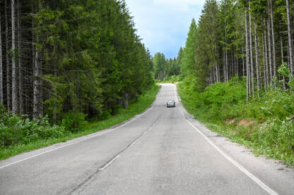 Automobil na dugoj ravnoj cesti u šumi na planini. Asfaltna cesta između drveća u šumi. Putovanje u prirodi.
