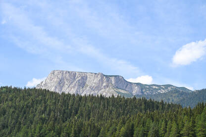 Planine Planina. Stijene i šuma.