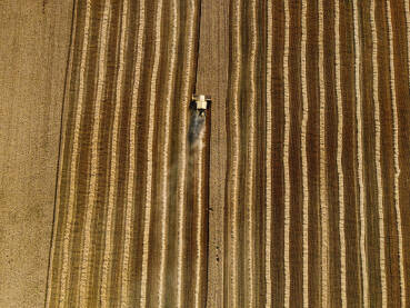 DJI_0656 Kombajn skuplja pšenicu u polju, snimci dronom. Žetva žitarica kombajnom tokom ljeta. Kombajn kosi žitarice u polju. Poljoprivreda.