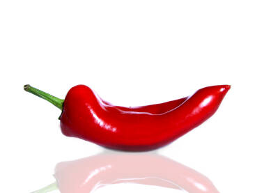Roga paprika Jedna paprika roga na bijeloj podlozi.
