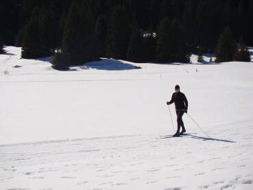 Skijaško trčanje Skijaško trčanje na Igmanu