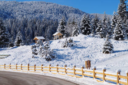 Cesta kroz planinu zimi u snjiežnom ambijentu.