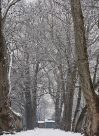 Gradski park u Bihaću