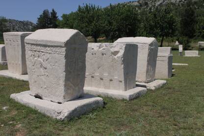 Nekropola stećaka u Radimlji kod Stoca Stećci u nekropoli Radimlja,