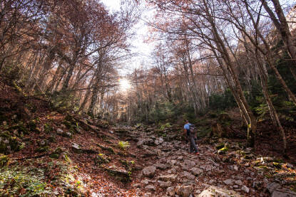 Planinarska staza na Magliću Planina Maglić. Staza prema Trnovačkom jezeru.