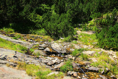Planina Vranica Planina Vranica u centralnom dijelu Bosne i Hercegovine.