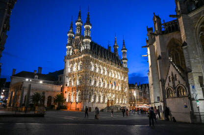 Leuven, Belgija. Gradska vijećnica noću. Leuven, Belgija. Gradska vijećnica noću.