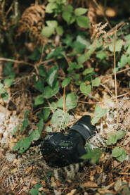 Fotoaparat u prirodi