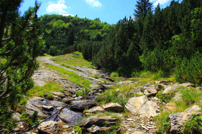 Planina Vranica Planina Vranica u centralnom dijelu Bosne i Hercegovine.