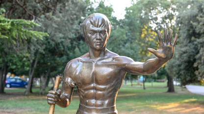Statua Bruce Leeja u Mostaru, Bosna i Hercegovina. Statua Bruce Leeja u Mostaru, Bosna i Hercegovina.