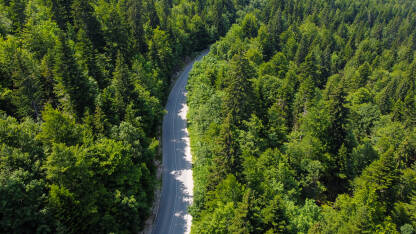 Asfaltni put kroz šumu, snimak dronom. Asfaltni put kroz šumu, snimak dronom. Planina Bjelašnica.