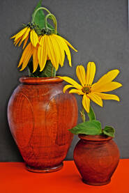 Cvijeće u dvije vaze od drveta, na tamnoj pozadini. Dekoracija.