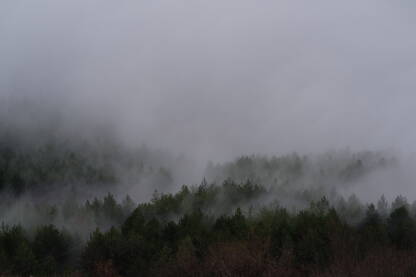 Maglovito jutro na Staroj planini.