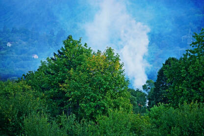 Dim iznad zelenog drveća. Vatra.