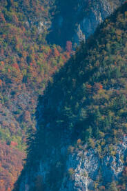 Obronci planine u jesen Planine u jesen, na fotografijama, predstavljaju izuzetan motiv. Fotografija prikazuje suprotstavljanje dva planinska grebena i strme litice, uokvirene jesenjom maštom
