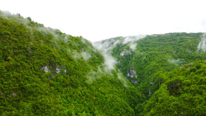 Kanjon rijeke Ugar, Vlašić, BiH. Panorama zelenog riječnog kanjona u planini.