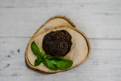 Crni tartuf Tuber melanosporum (crni tartuf)
T. aestivium (crni tartuf)
T. borchii (bijeli tartuf)