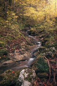 Prirodna bogatstva na planini Plješevici kod Bihaća.