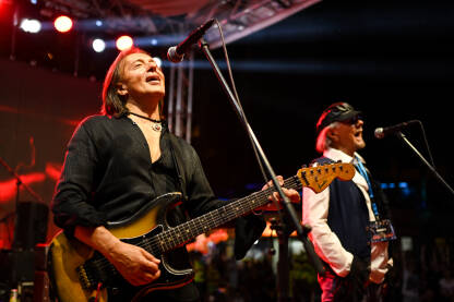 Divlje Jagode, koncert. Sead Zele Lipovača. Koncert rock grupe Divlje Jagode. Muzičari sviraju i pjevaju na bini.