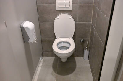 WC šolja u kupatilu. Keramička WC školjka s elegantnim dizajnom.