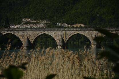 Lukovi mosta Fotografija lukova čuvene Ćuprije u Višegradu i trske koja se nalazi u samoj blizini mosta