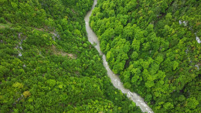 Šuma na planini. Kanjon rijeke Šuma na planini. Kanjon rijeke Ugar na Vlašiću, snimak dronom.
