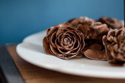 Šišarike kao cvjetovi ruža