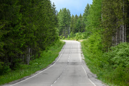 Duga ravna cesta u šumi na planini. Asfaltna cesta između drveća u šumi. Putovanje u prirodi.