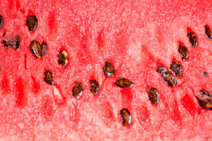 Lubenica closeup Servirana lubenica