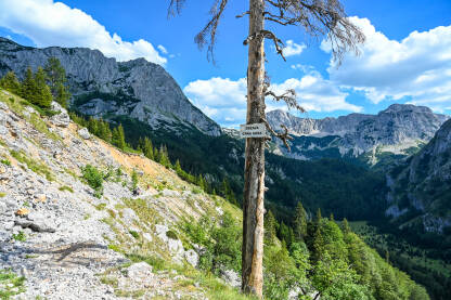 Planina Maglić Planina Maglić. Granica BiH i Crne Gore. Planinarenje