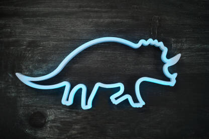 Neonska lampa Dječija neonska lampa u obliku dinosaura na crnoj podlozi.