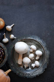 Gljive Šampinjoni iz domćeg uzgoja Agaricus bisporus.