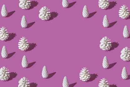 Pattern2 Pozadinski uzorak - bijele šišarke na ljubičastoj pozadini.