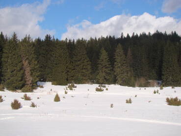 Igman, Veliko polje