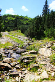 Planina Vranica Planina Vranica u centralnom dijelu Bosne i Hercegovine.