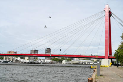 Roterdamu, Nizozemska Crveni kablovski most u Roterdamu, Nizozemska. Most Willemsbrug u Roterdamu, Holandija. Moderna arhitektura i gradski pejzaž. Landmark.