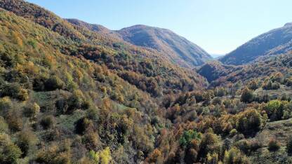 Panorama predjela prekrivenih šumom