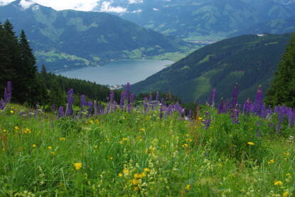 Planina Pogled na jezero sa planine.