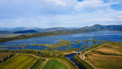 Poplavljeno polje, snimak dronom. Močvara u prirodi. Hutovo Blato, ptičji rezervat i park prirode, Bosna i Hercegovina.