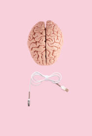 Ljudski mozak Ljudski mozak, anatomski školski model, sa USB kablom za punjenje na svijetloj roze podlozi.