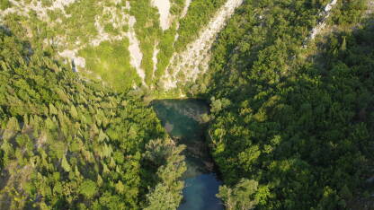 Izvor rijeke Bunice Izvor rijeke Bunice predstavlja jedinstvenu atrakciju na području Hercegovine. Okružen je sivo-bijelim liticama visokim i do 200 m na kojima rastu usamljene biljne vrste. Površina samog izvora je mirn
