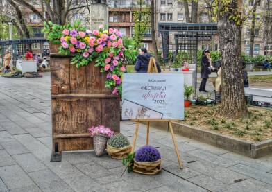 Festival cvijeća Festival cvijeća Banja Luka.